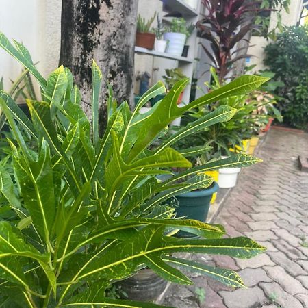 ダル・エス・サラーム L&J Modern Backpackers Kinondoni Bed & Breakfast エクステリア 写真