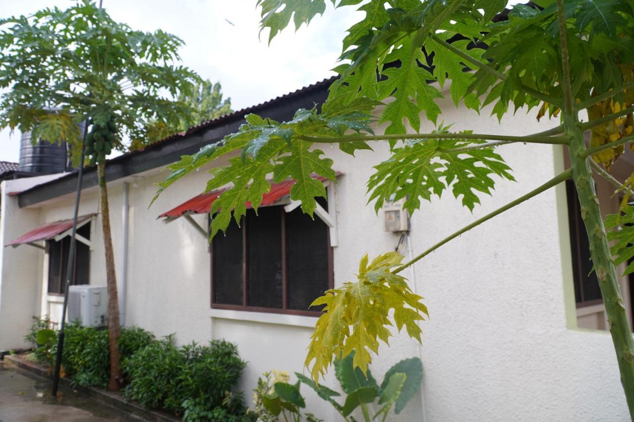 ダル・エス・サラーム L&J Modern Backpackers Kinondoni Bed & Breakfast エクステリア 写真