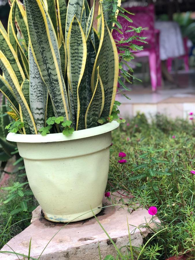 ダル・エス・サラーム L&J Modern Backpackers Kinondoni Bed & Breakfast エクステリア 写真