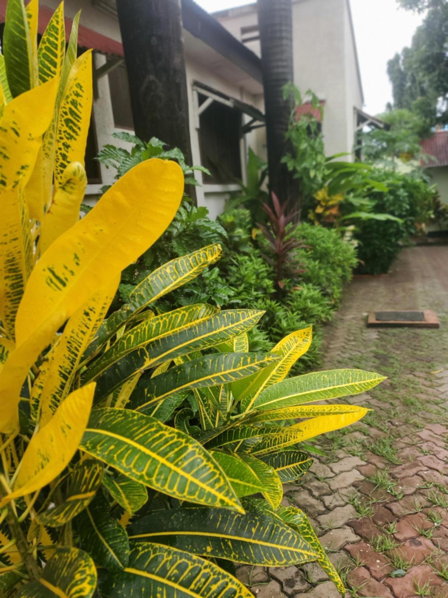 ダル・エス・サラーム L&J Modern Backpackers Kinondoni Bed & Breakfast エクステリア 写真